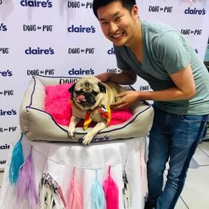 Meet your Posher, William